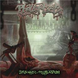 Phalloplasty : Systematic Mutilation